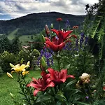 Appartement Wierchy