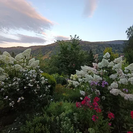 Apartament Wierchy *