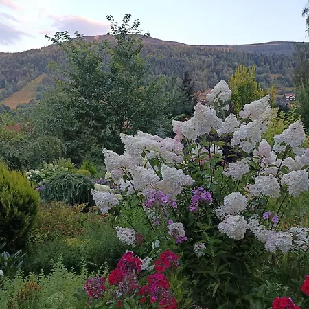 Wierchy 什切尔克