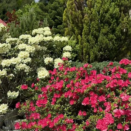 Wierchy 公寓 什切尔克