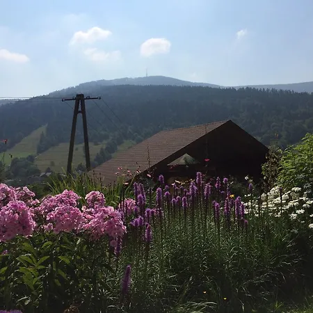 公寓 Wierchy 什切尔克