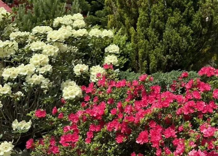 Wierchy Apartment Szczyrk